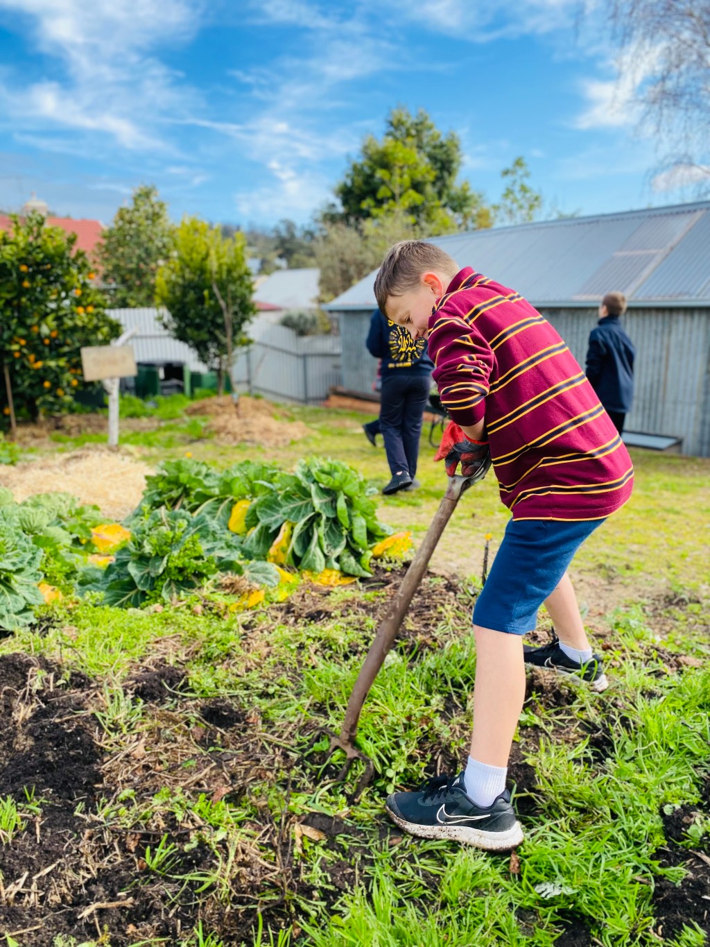 Frustration in the Classroom What It Teaches Us About Student&nbsp;Wellbeing