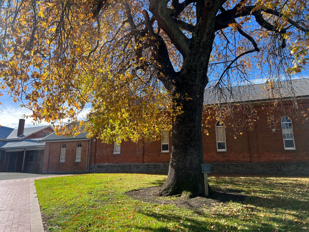 Begin as We Mean to Go&nbsp;On