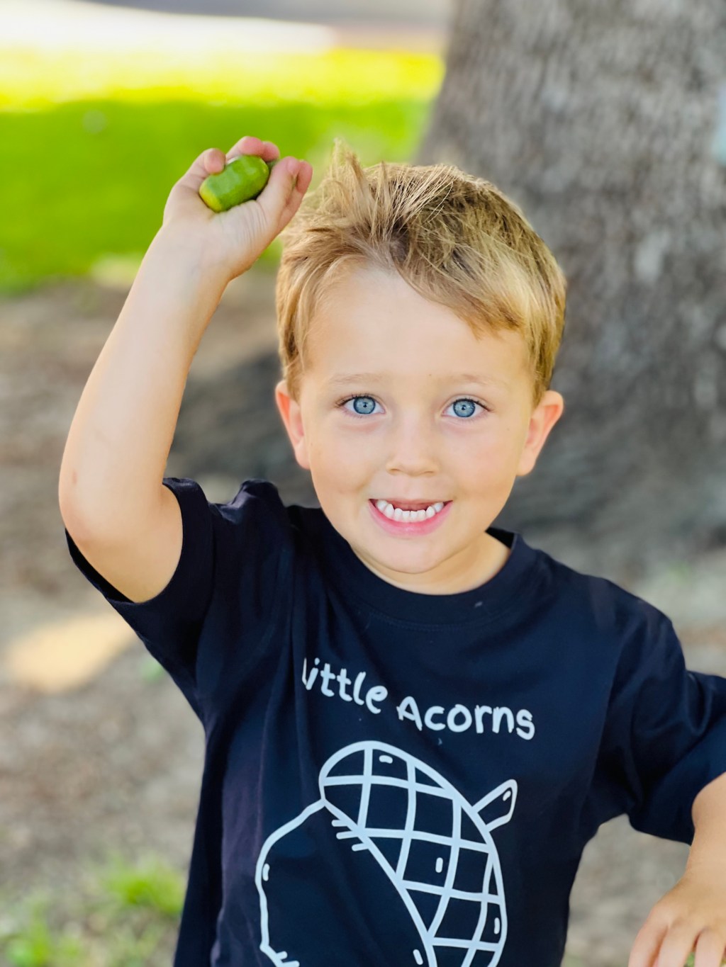 Little Acorns – Reimagining School&nbsp;Transition