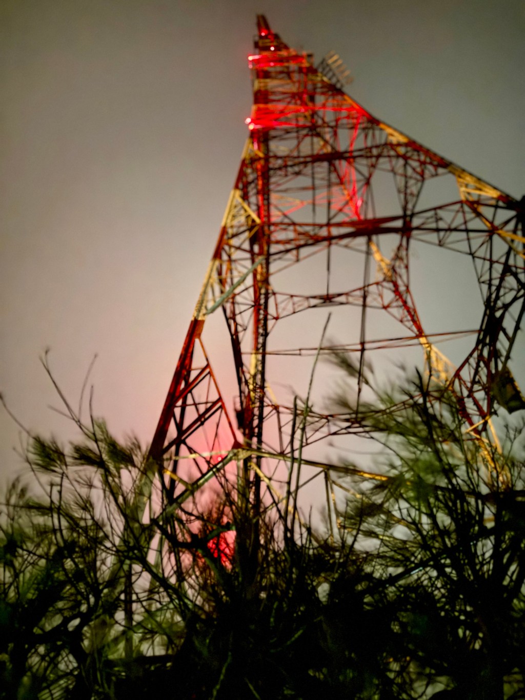 Australia’s Social Media Age Ban – It’s&nbsp;here!